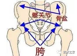 松胯的实际问题