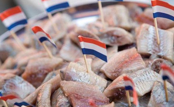生腌鲱鱼,苹果派 探秘荷兰的经典小吃!