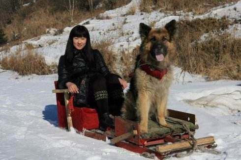 鄂伦春猎犬基地图片