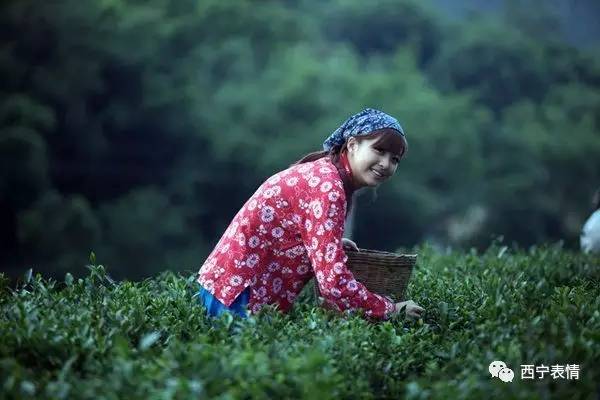 采桑女