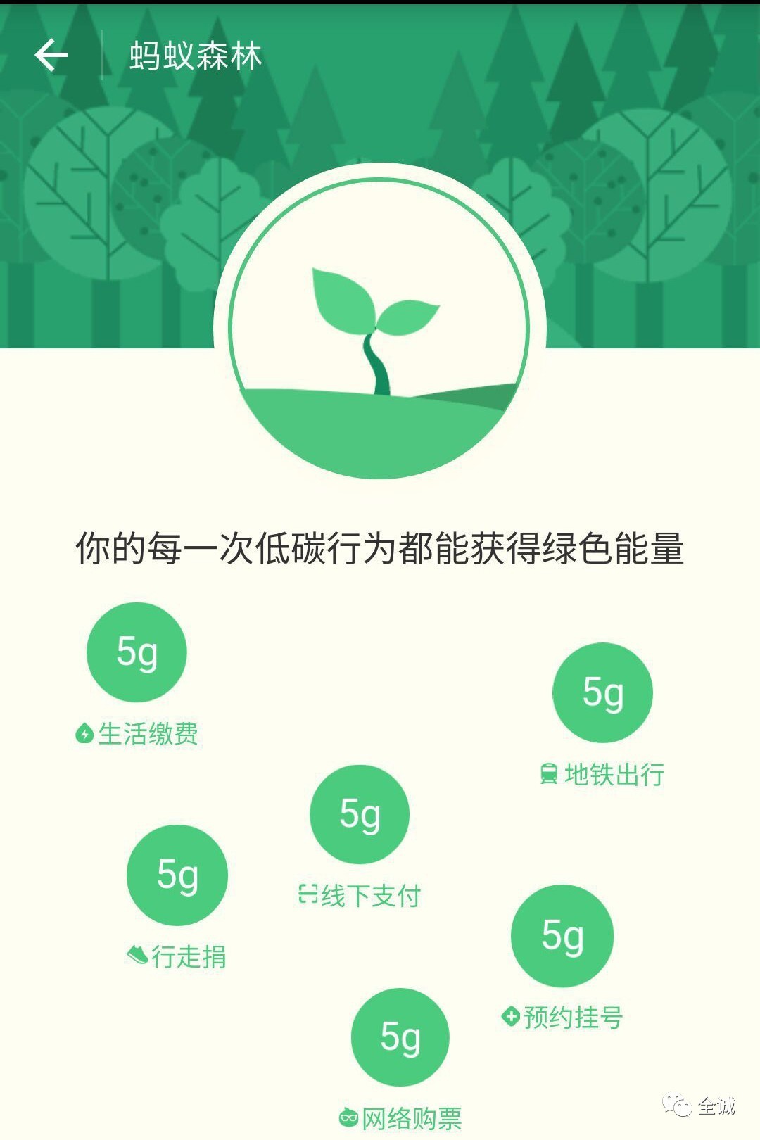 原来支付宝的蚂蚁森林真的存在在内蒙阿拉善