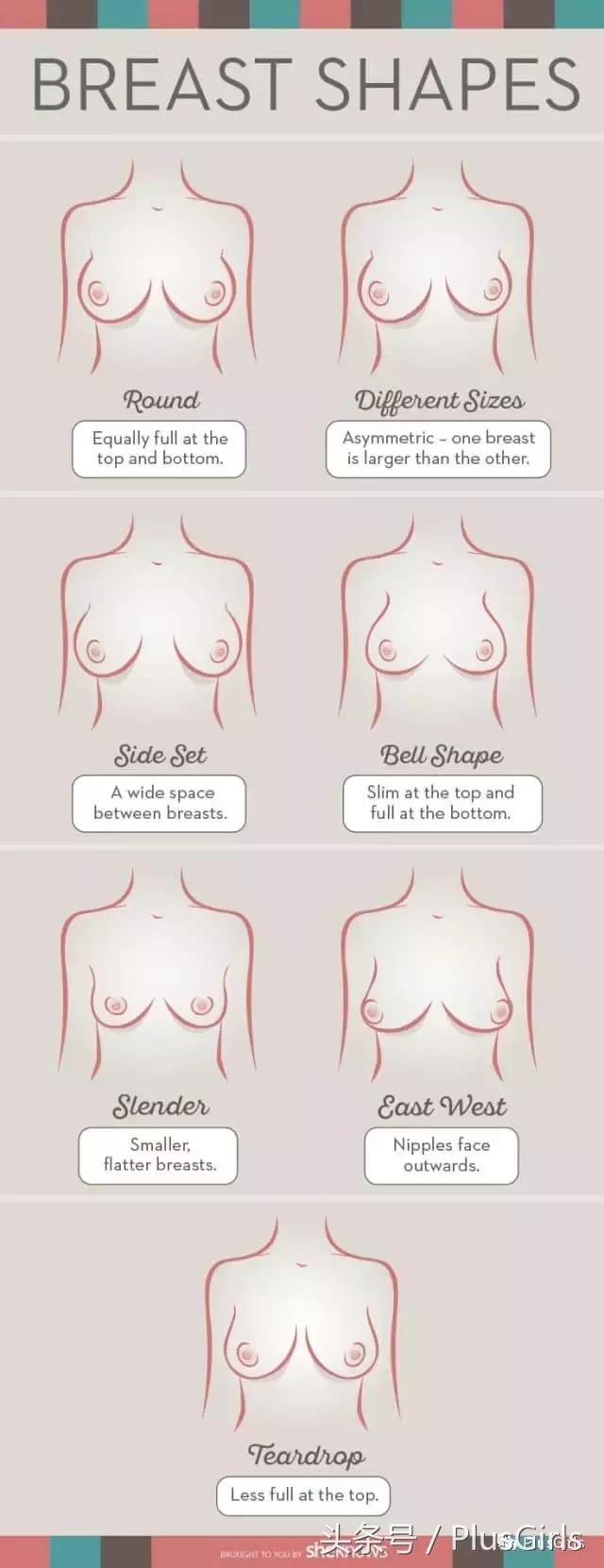 女性胸型对照图片
