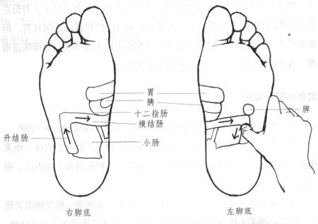 胰腺反射区有隆起或软包