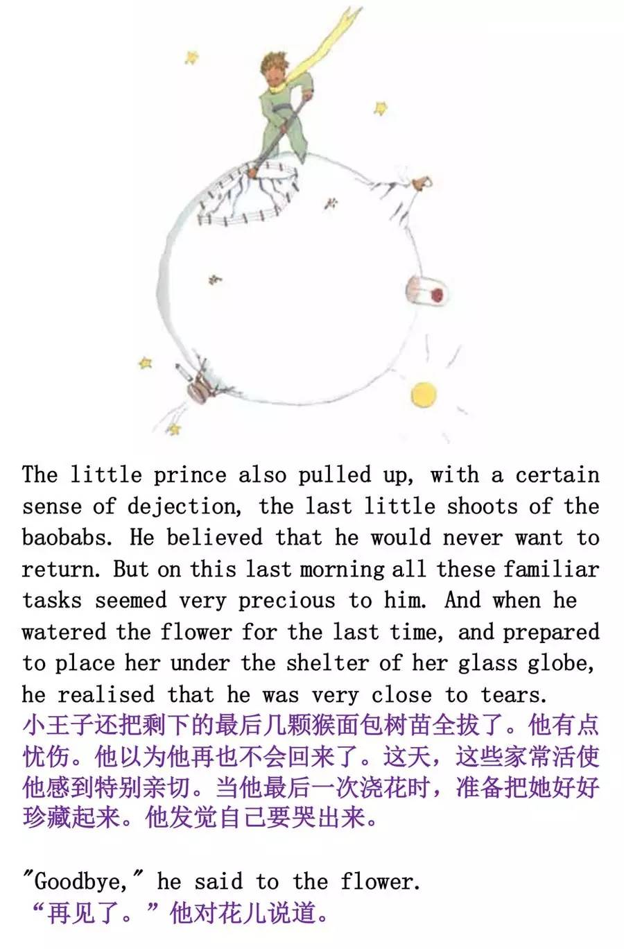 little prince 小王子 (9)