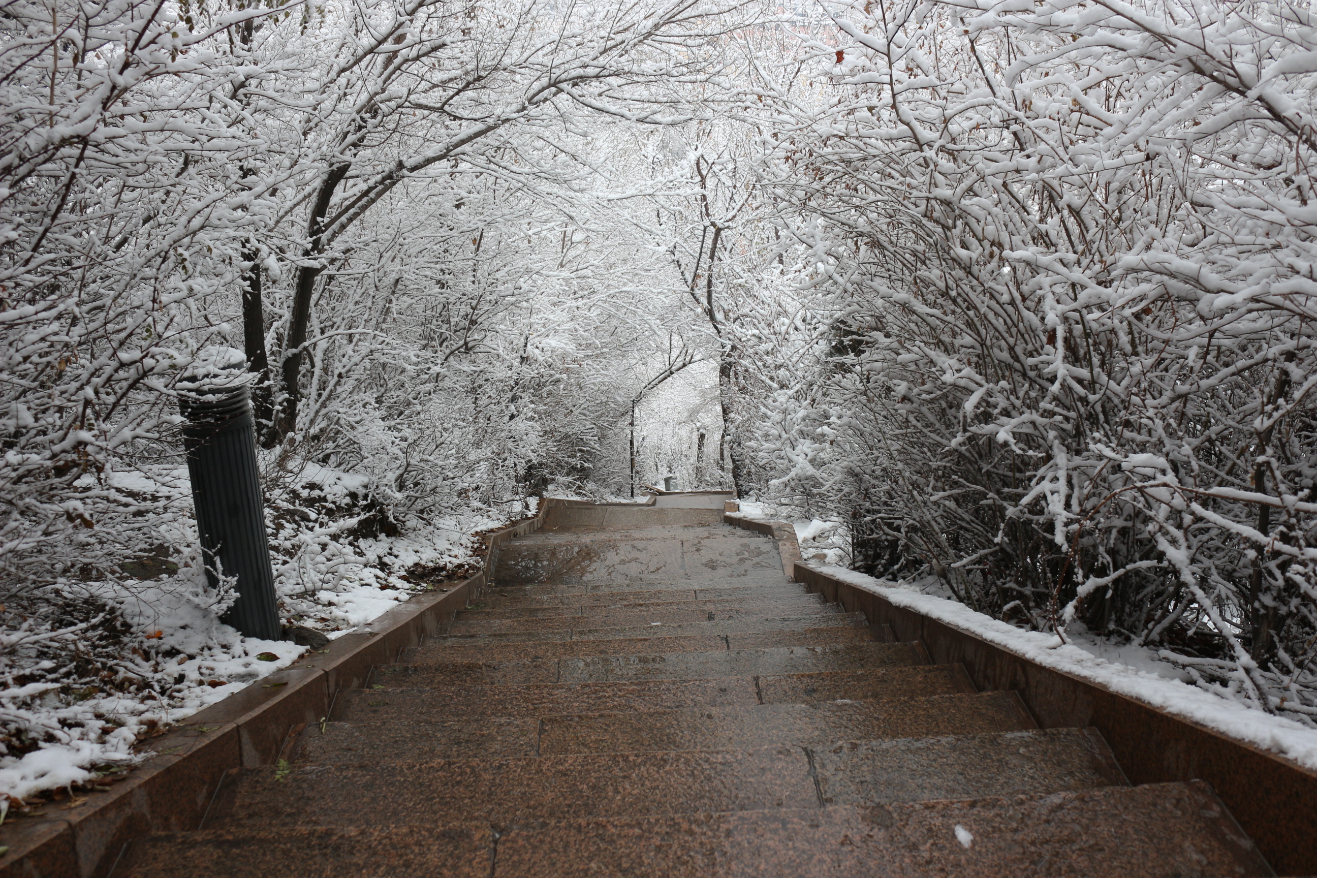 冬雪美景图片
