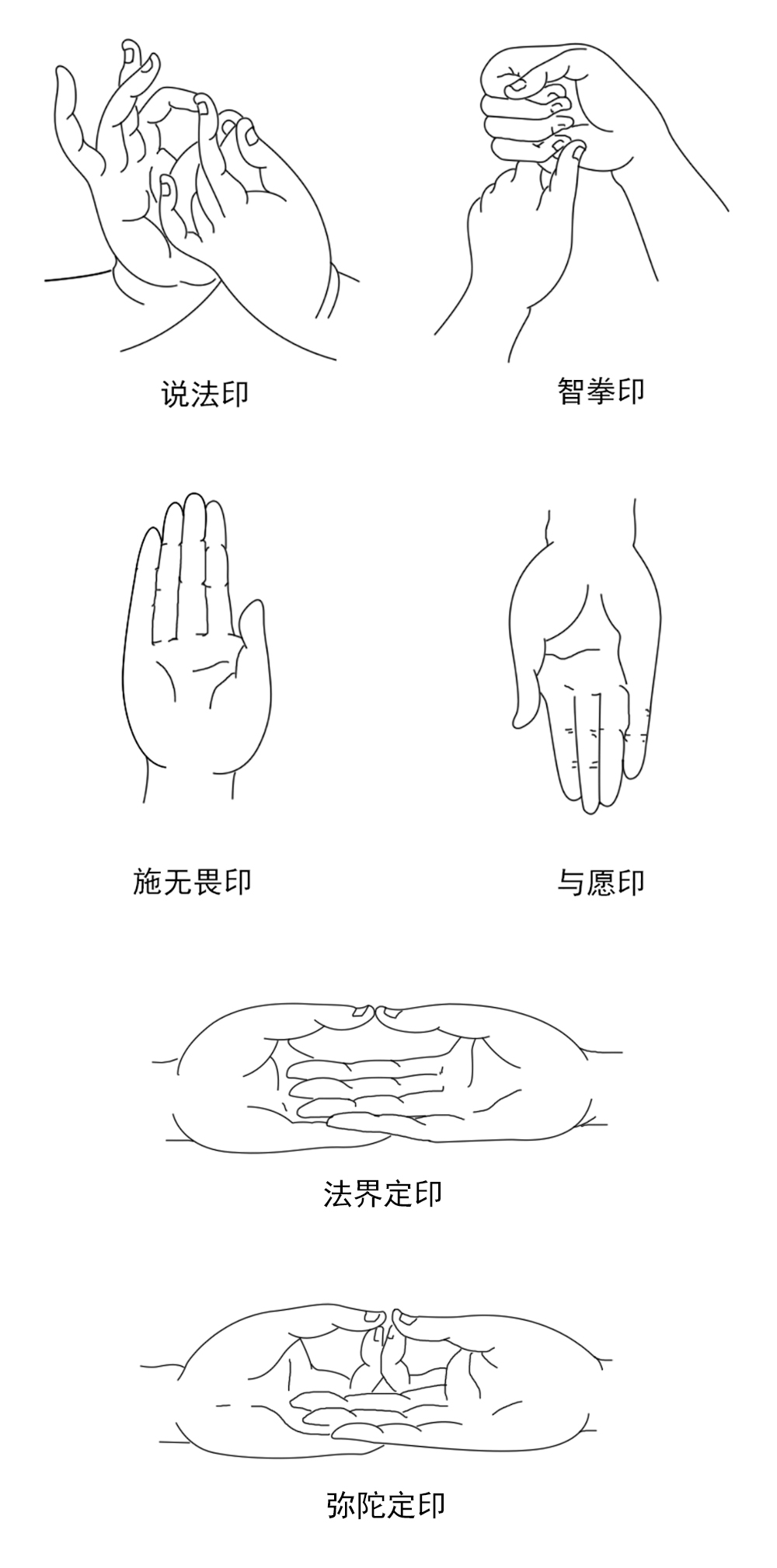 以上五种手印,合称为释迦五印,这是最常见的几种印相