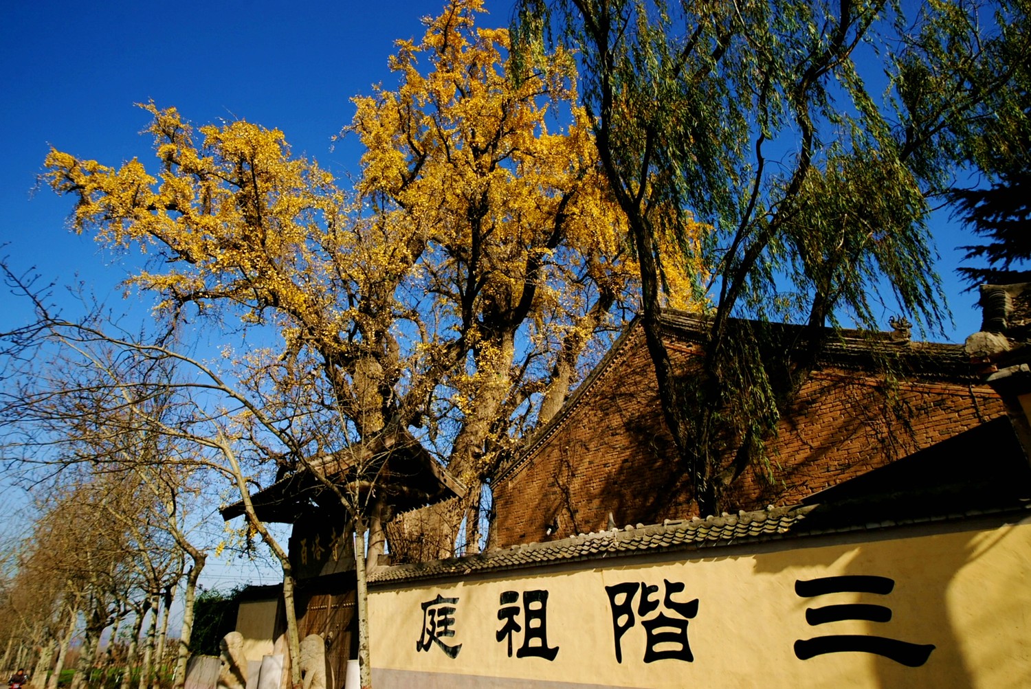 陕西名寺古刹:百塔寺-三阶教祖庭