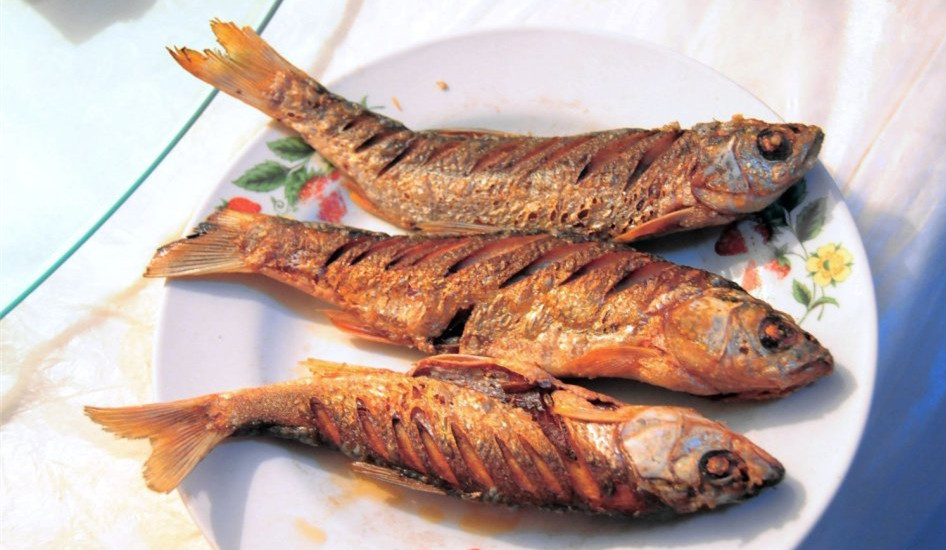 达里湖华子鱼赤峰专卖图片