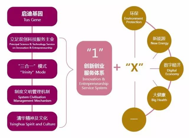 战略性新兴产业集群网络发展阶段与实现路径研究