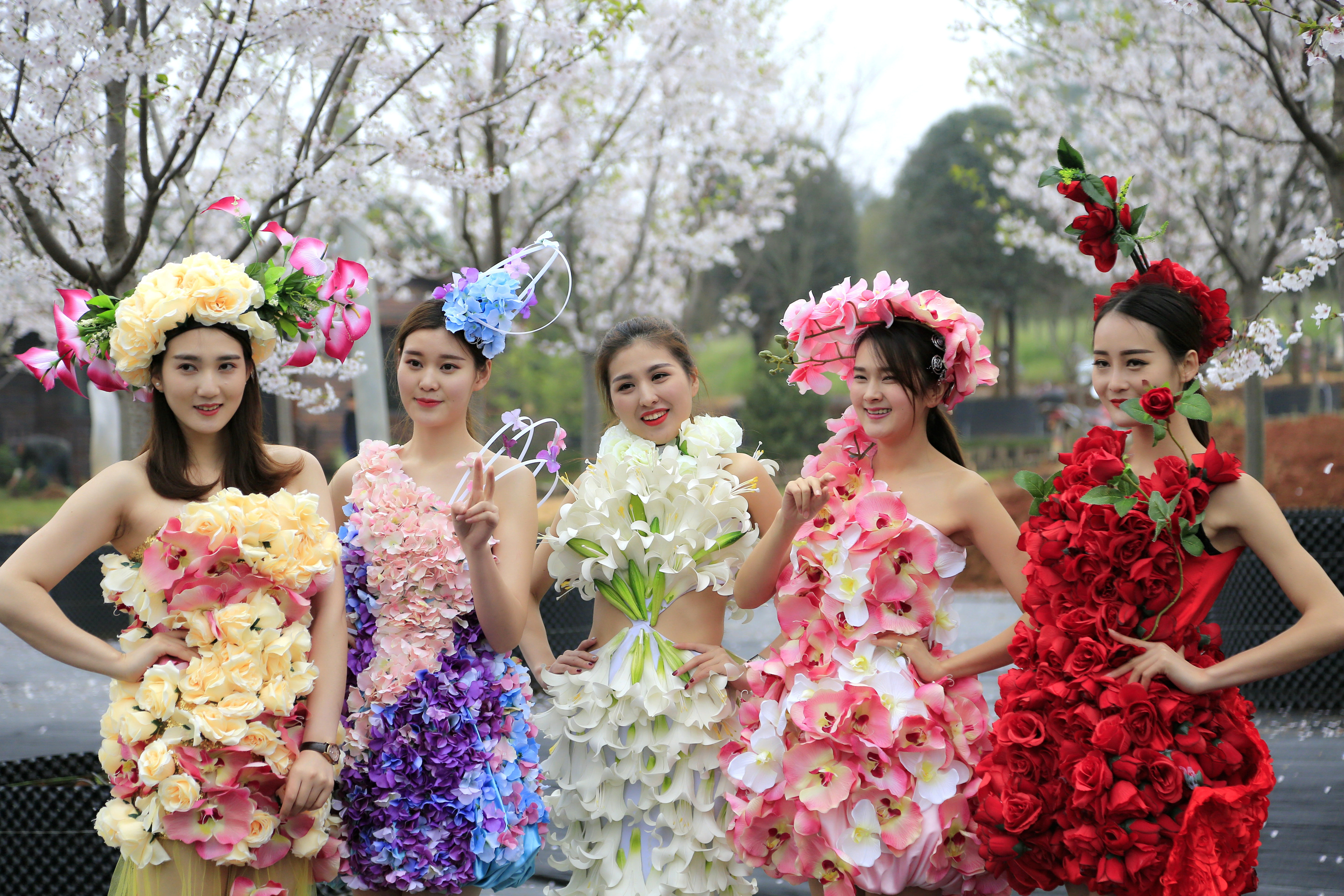 凤凰台植物园樱花节图片