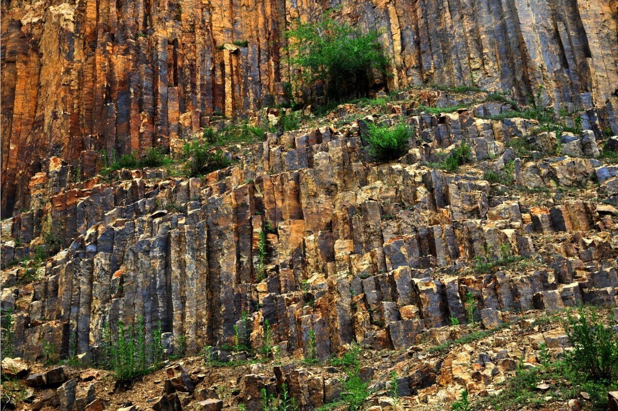 中生界,新生界的沉积岩,变质岩及岩浆岩