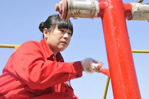 张莲:扎根草原20载此生只为采油来