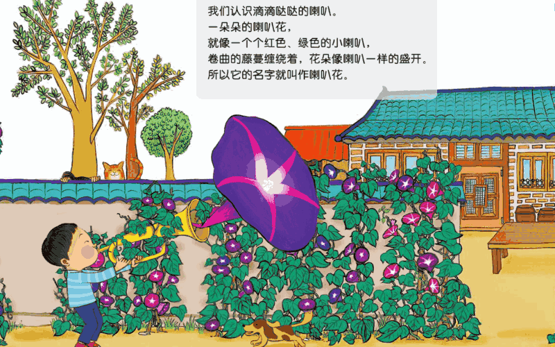 绿叶满枝桠,鸟语花香一棵参天的大树小伙伴童书绘本《神奇的种子》