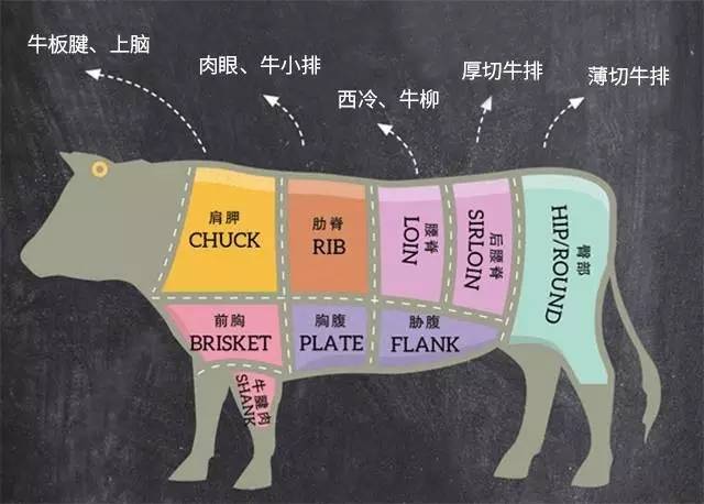 牛排分布图详细解说图片