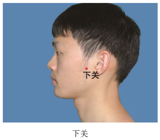 中医中西医:常用针灸穴位