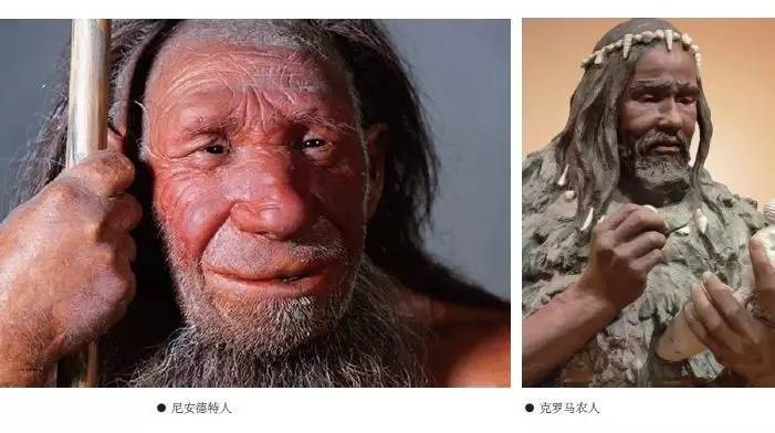 人类的祖先你究竟来自哪里?(4)