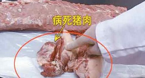 猪肉问题频频出现该如何识别病死猪肉呢