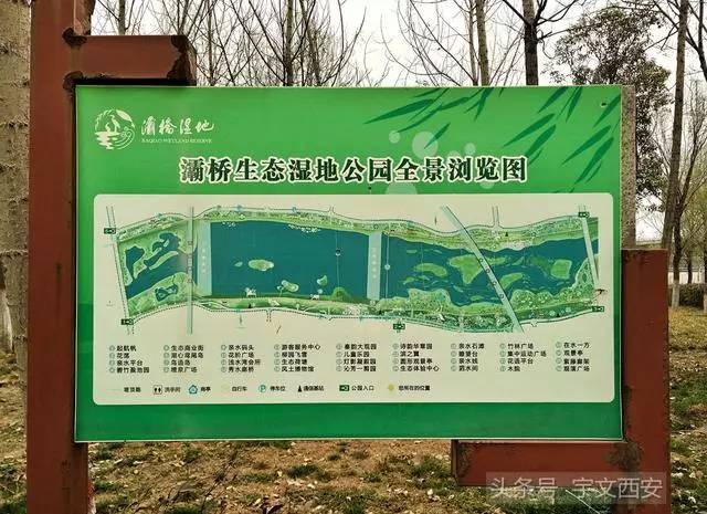 渭河湿地公园介绍图片