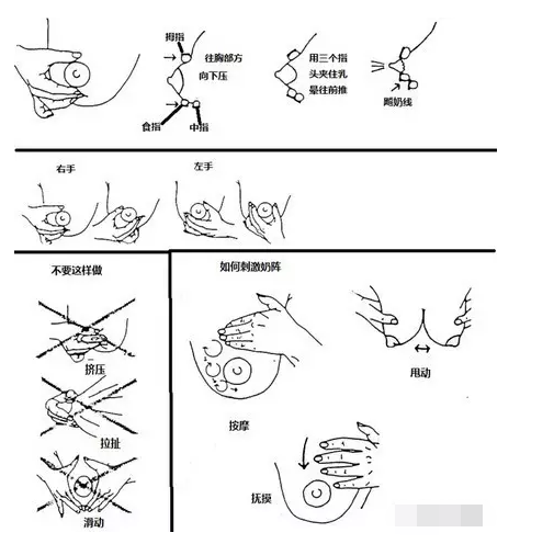 母乳太快控制手法图图片