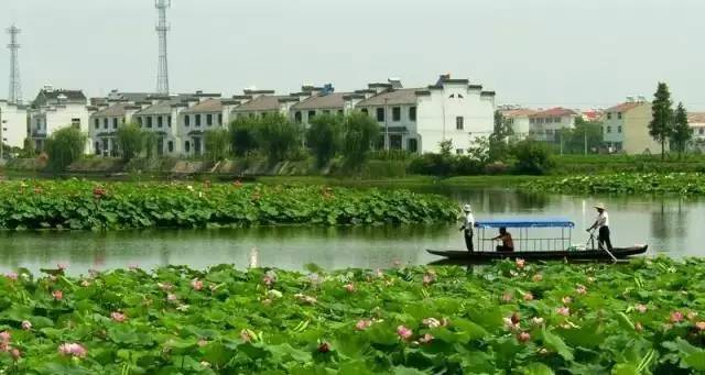 裕安区青山乡土门店村 马鞍山市(1个 芜湖市(3个 芜湖县陶辛镇 芜湖