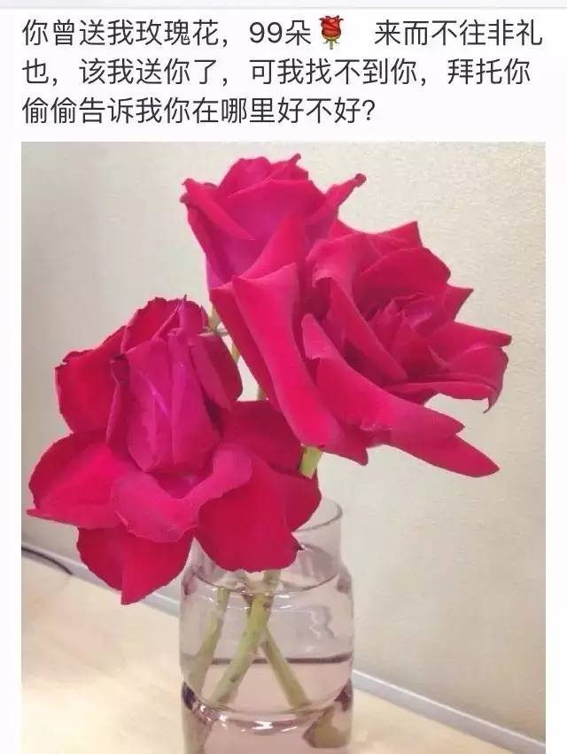 馬航失聯三週年我如此愛你我怎能放棄悽美的愛情故事淚奔