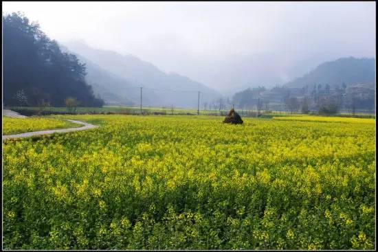 涇縣桃花潭鎮桃花潭村 涇縣琴溪鎮馬頭村 績溪縣上莊鎮石家村