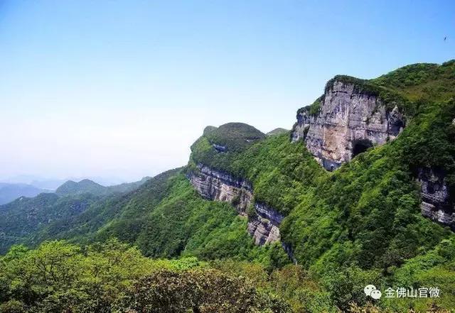 国际森林日:重庆金佛山邀你免费吸氧