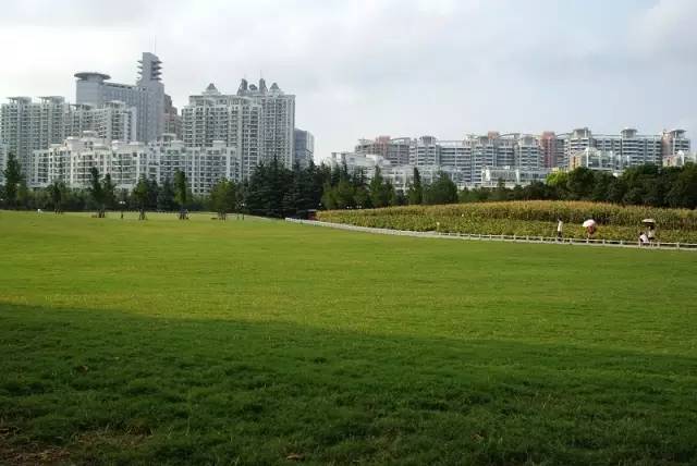 世紀公園世博公園沒有開放時間和門票的限制,有柏油路,石板小徑,林間