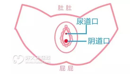 真人讲述:卫生棉条让我自由让我飞!