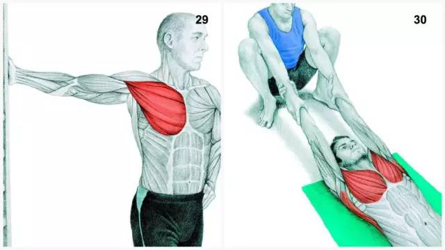 体育 正文 24,站立小腿拉伸(墙壁辅助) 锻炼部位:比目鱼肌和腓肠肌
