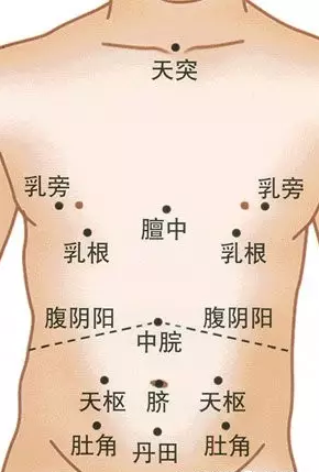 胸腹部经络图排列顺序图片