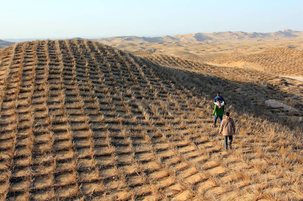 禾然有机有心意15年特别活动:去宁夏毛乌素沙地种绿 植树季