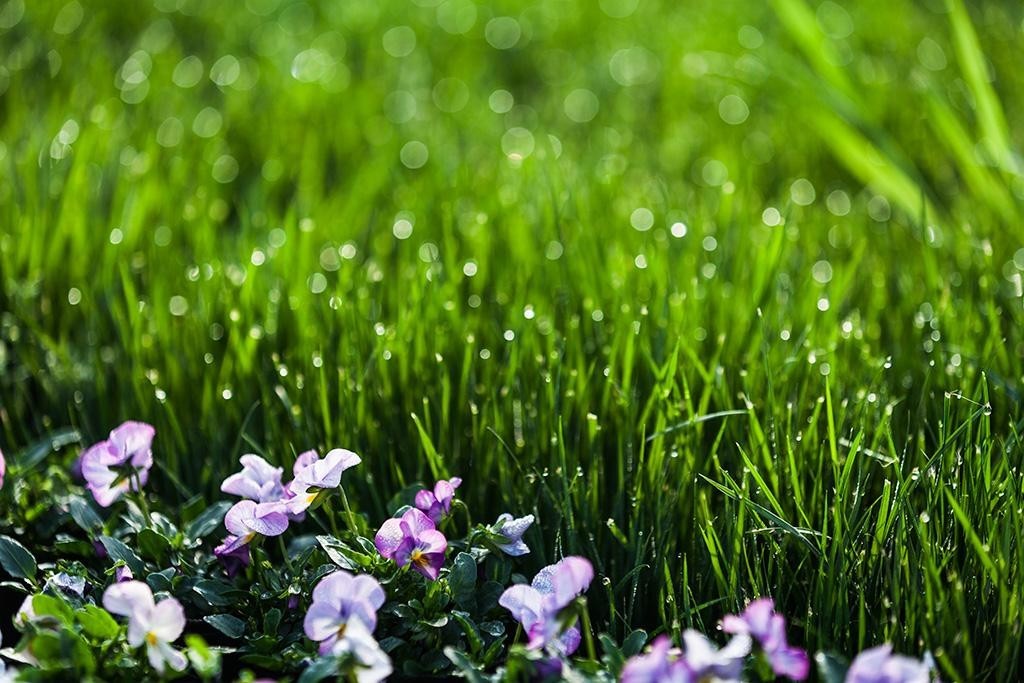 春分春耕时春风春雨诗