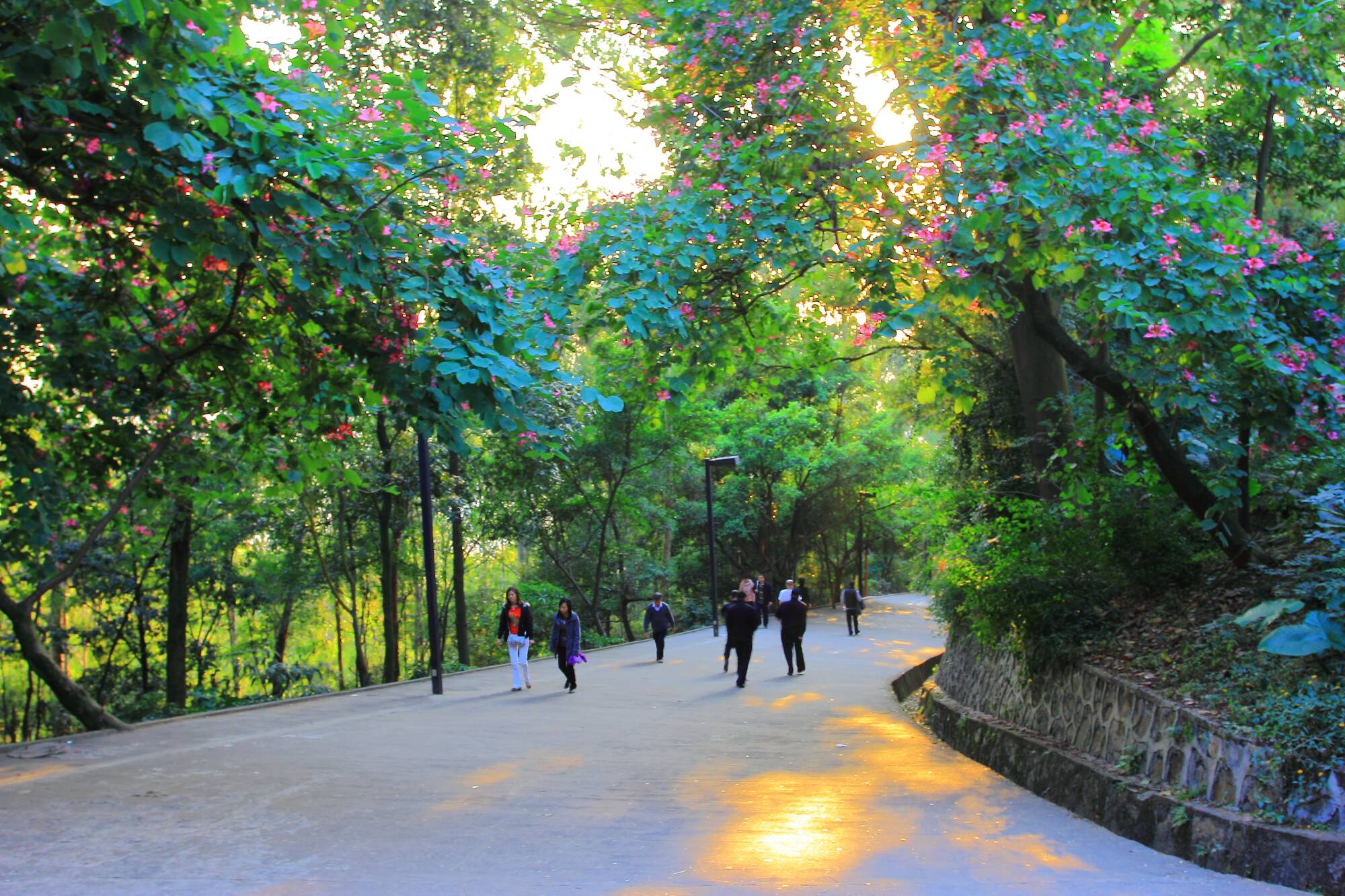 百公里徒步第二站:同沙生態公園大型徒步活動