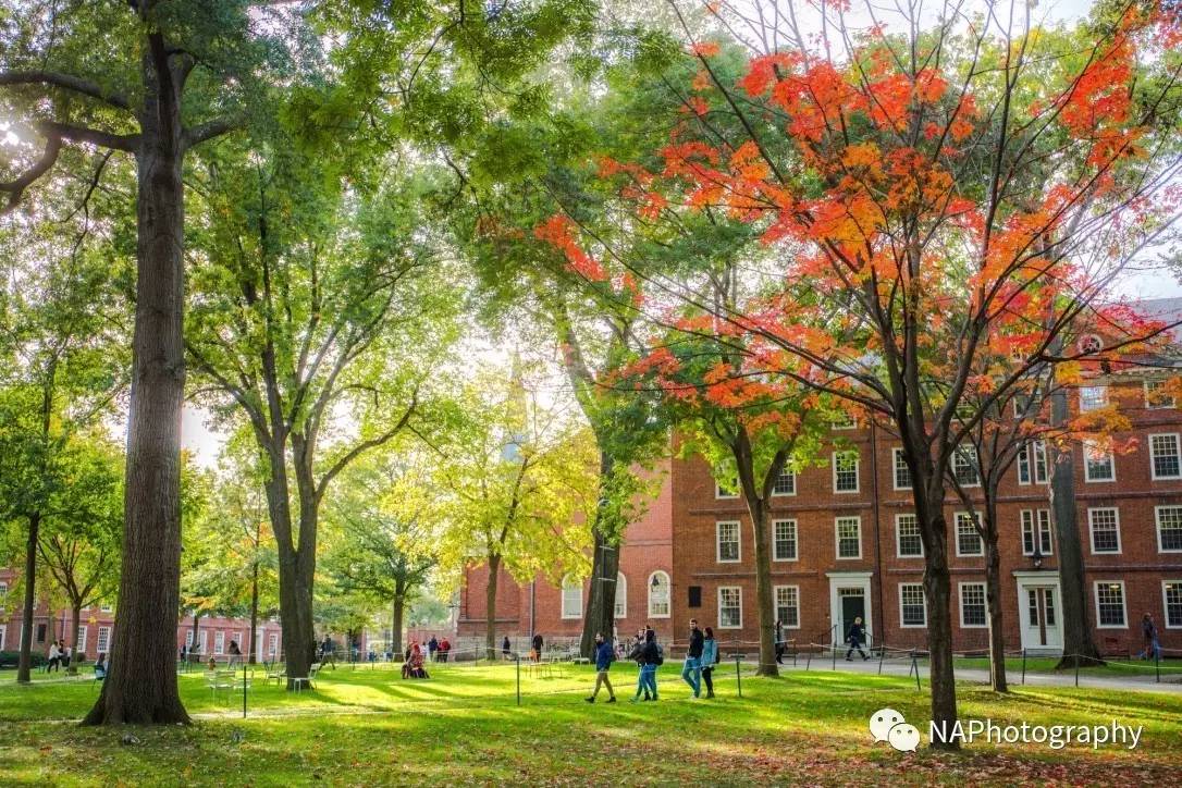 大學校園(一)-美國大學之一〖napa北美攝影協會 - 精彩匯聚〗微刊第