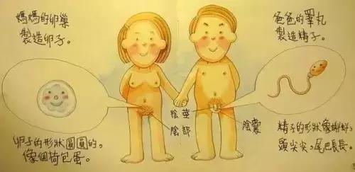 性健康教育读本引争议!如何告诉孩子青春期知识?