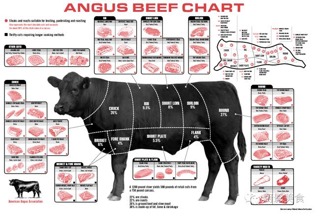 肉牛品种介绍图片大全图片