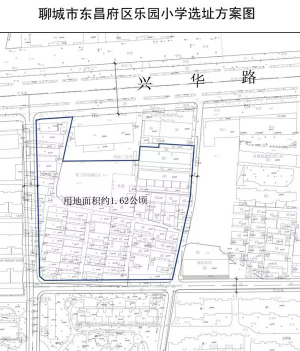 重磅!聊城各区学校规划,今年你家可能秒变学区房!