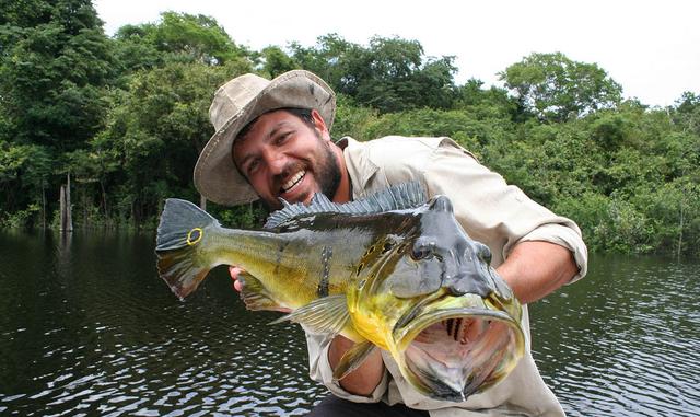 探索热带雨林亚马逊河流钓了很多大鱼