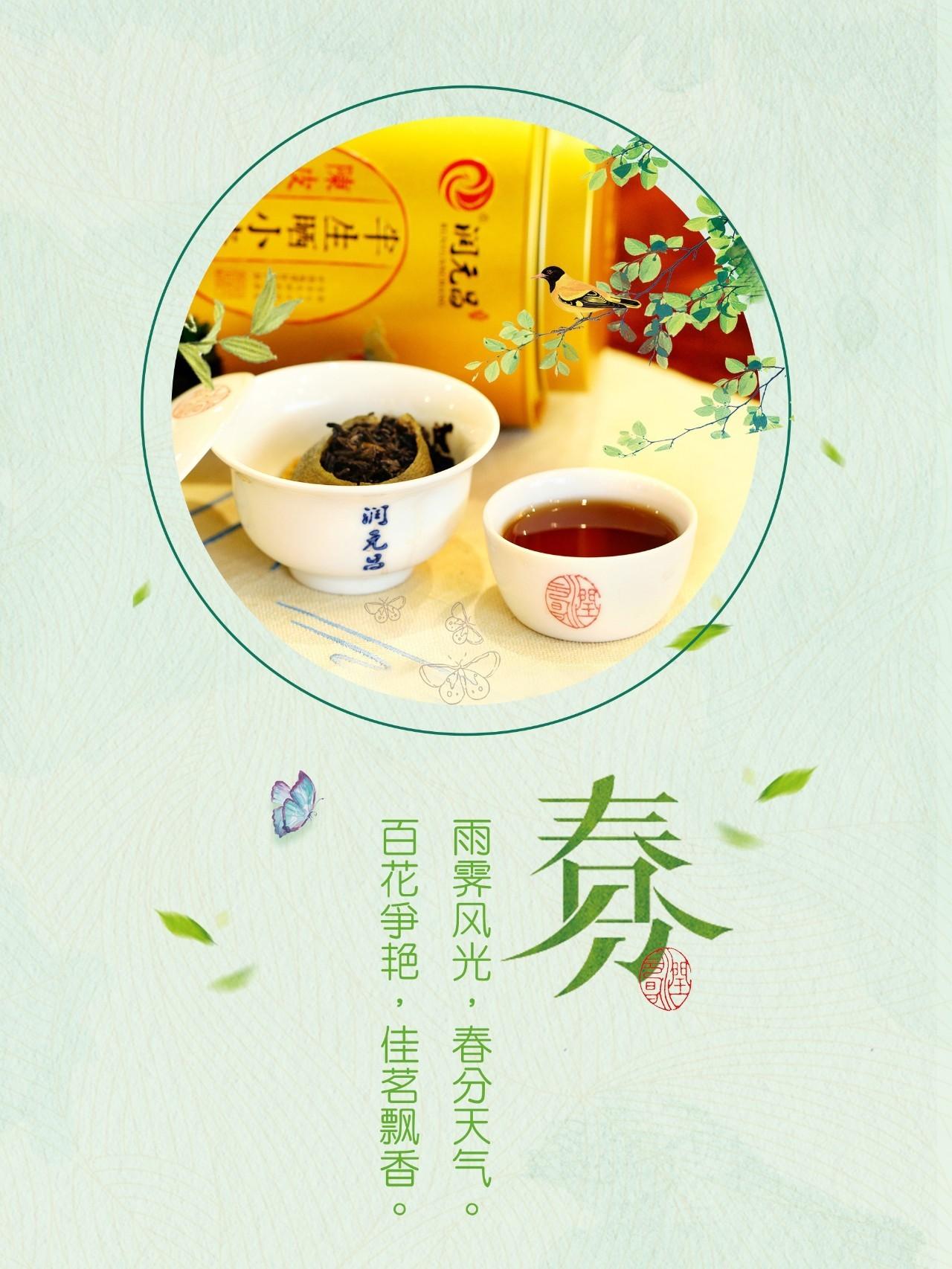 春分养生茶饮图片