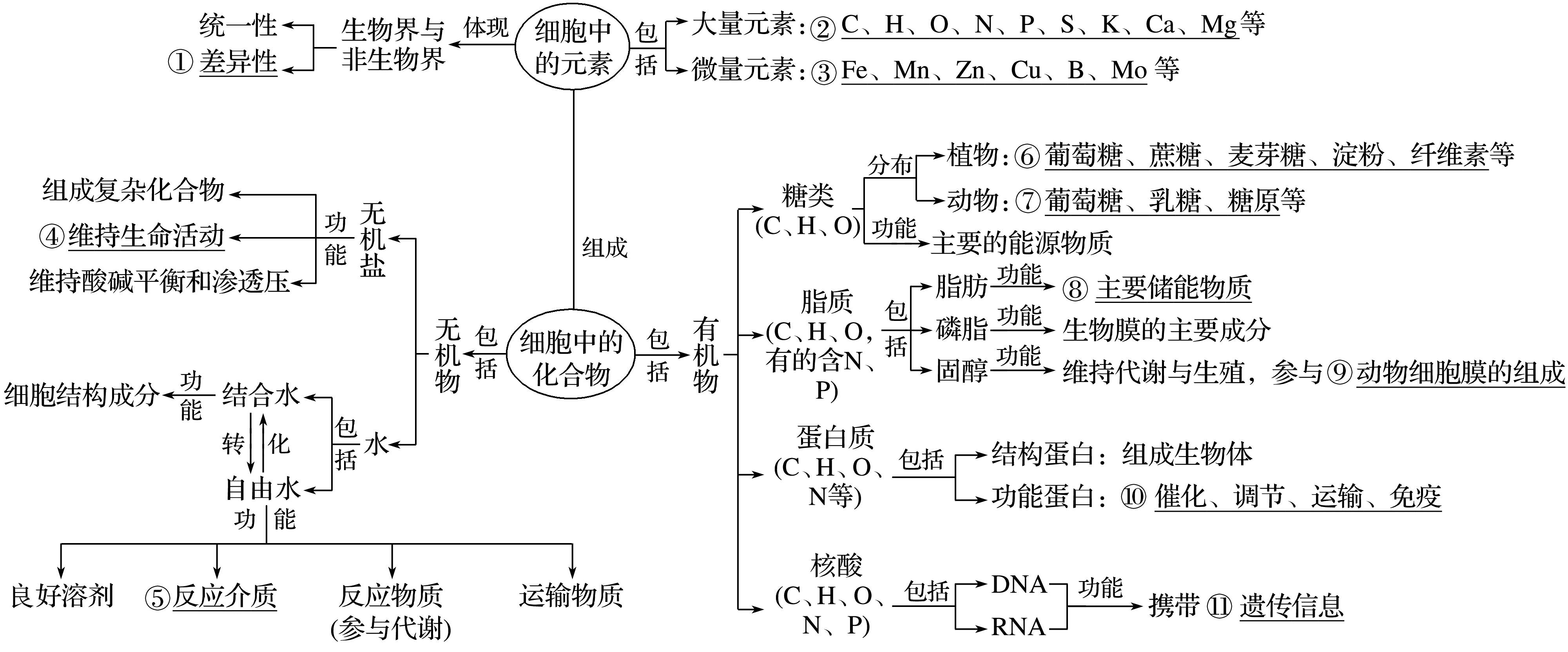 高考生物 专题1 最基本的生命系统—细胞