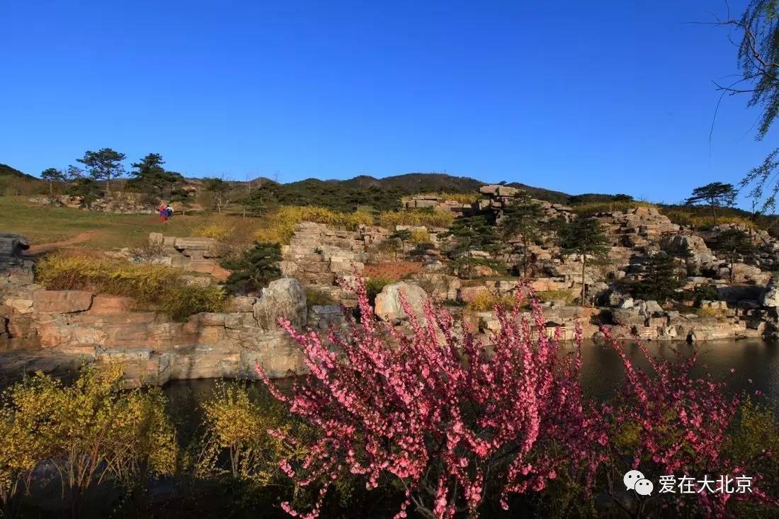 西山國家森林公園海淀區門票信息:免費交通:乘公交車707,966,415,621