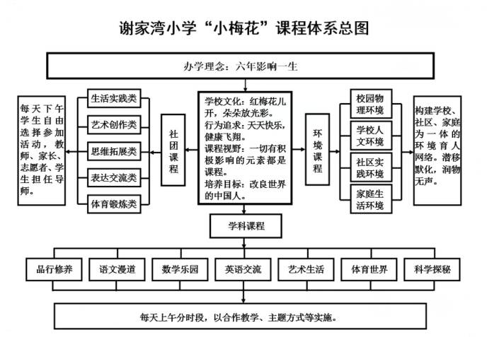 谢家湾小学小梅花图片