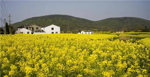 嶂山村图片