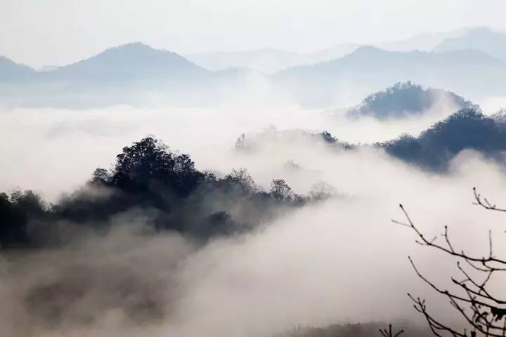 (图片来自于网络)盛夏季节的光雾山,是雾的世界,方圆百里云雾缭绕,山