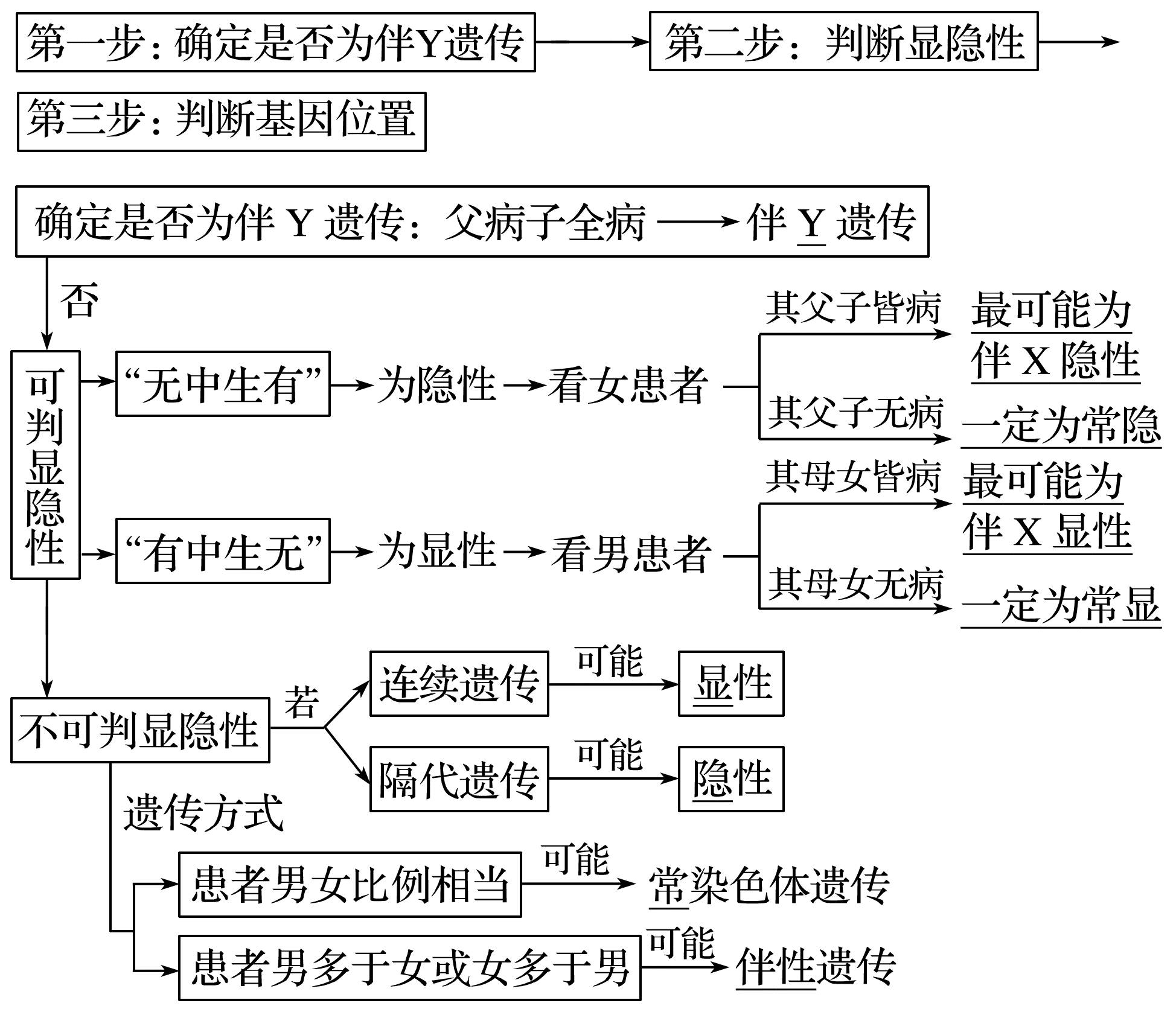 遗传与变异思维导图图片