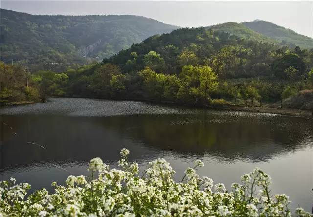 嶂山村图片