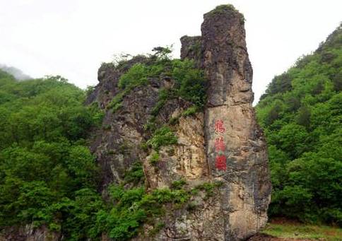 崗山森林公園隸屬新賓滿族自治縣崗山林場,行政區位於新賓滿族自治縣