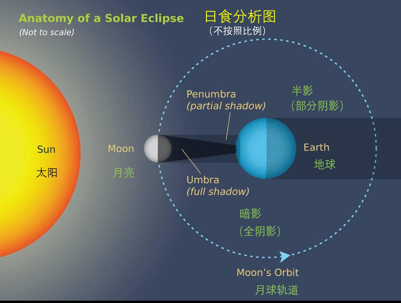 地球太阳月亮的位置图图片