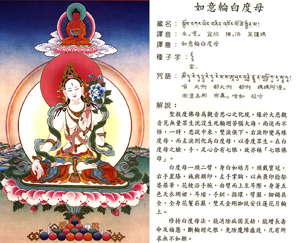 白度母心咒藏文图片